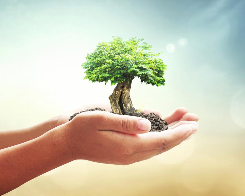 A importância da coleta de pneus para reciclagem: saiba como contribuir para um mundo mais sustentável