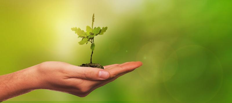 Dicas Essenciais para o Descarte de Pneus de Forma Sustentável e Segura